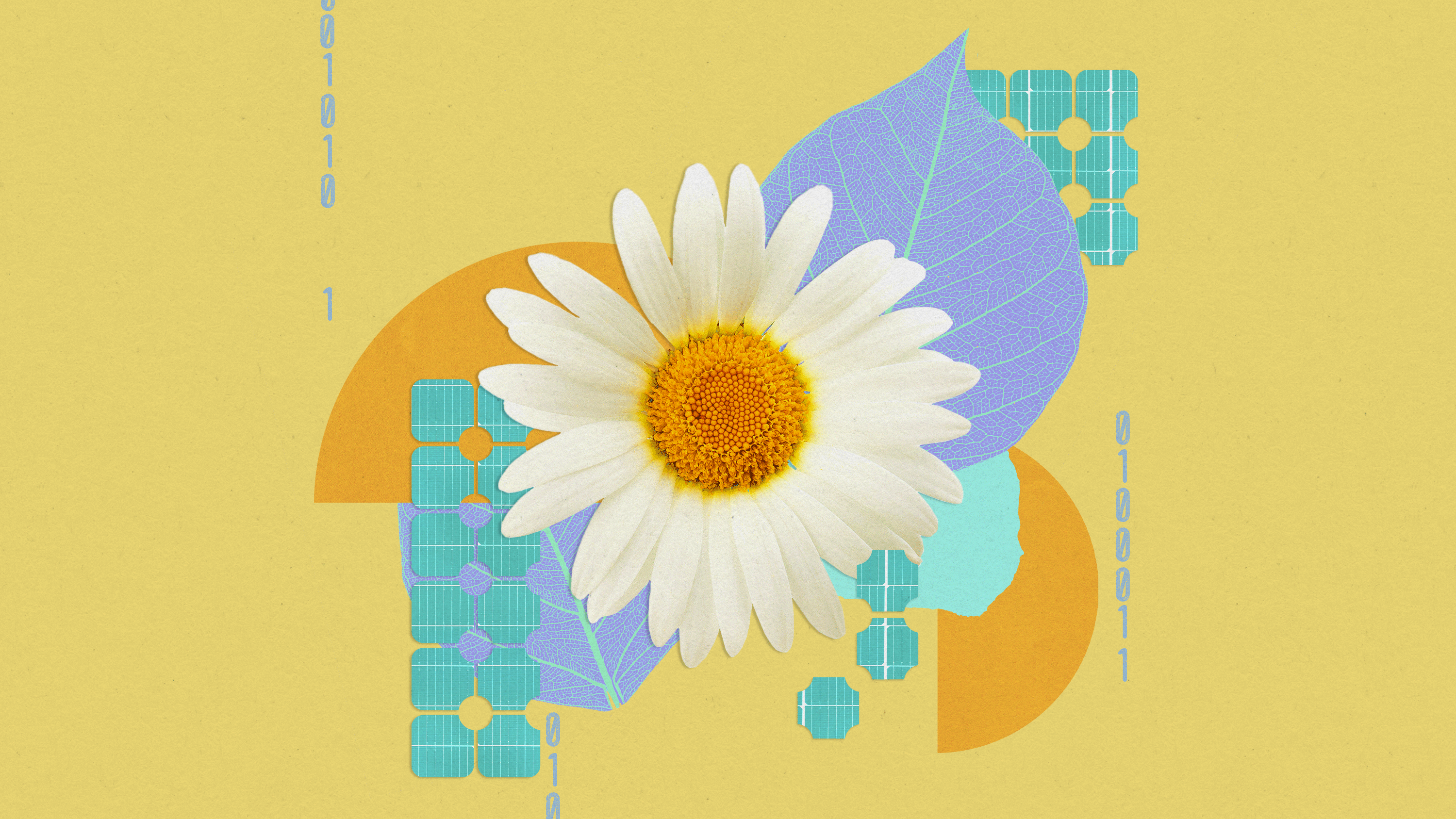 Illustrated collage of a flower, leaves, and abstract solar panel shapes along side circles, torn paper, and binary numbers.